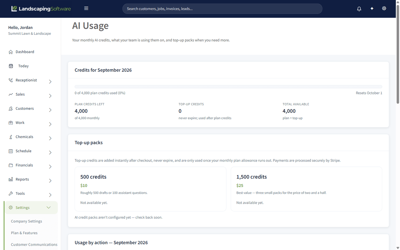 The AI Usage page showing monthly credits, usage by action, which model powers what, and the credit cost per action
